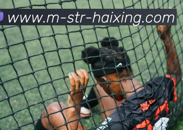 海星体育APP 体育赛事宣传图